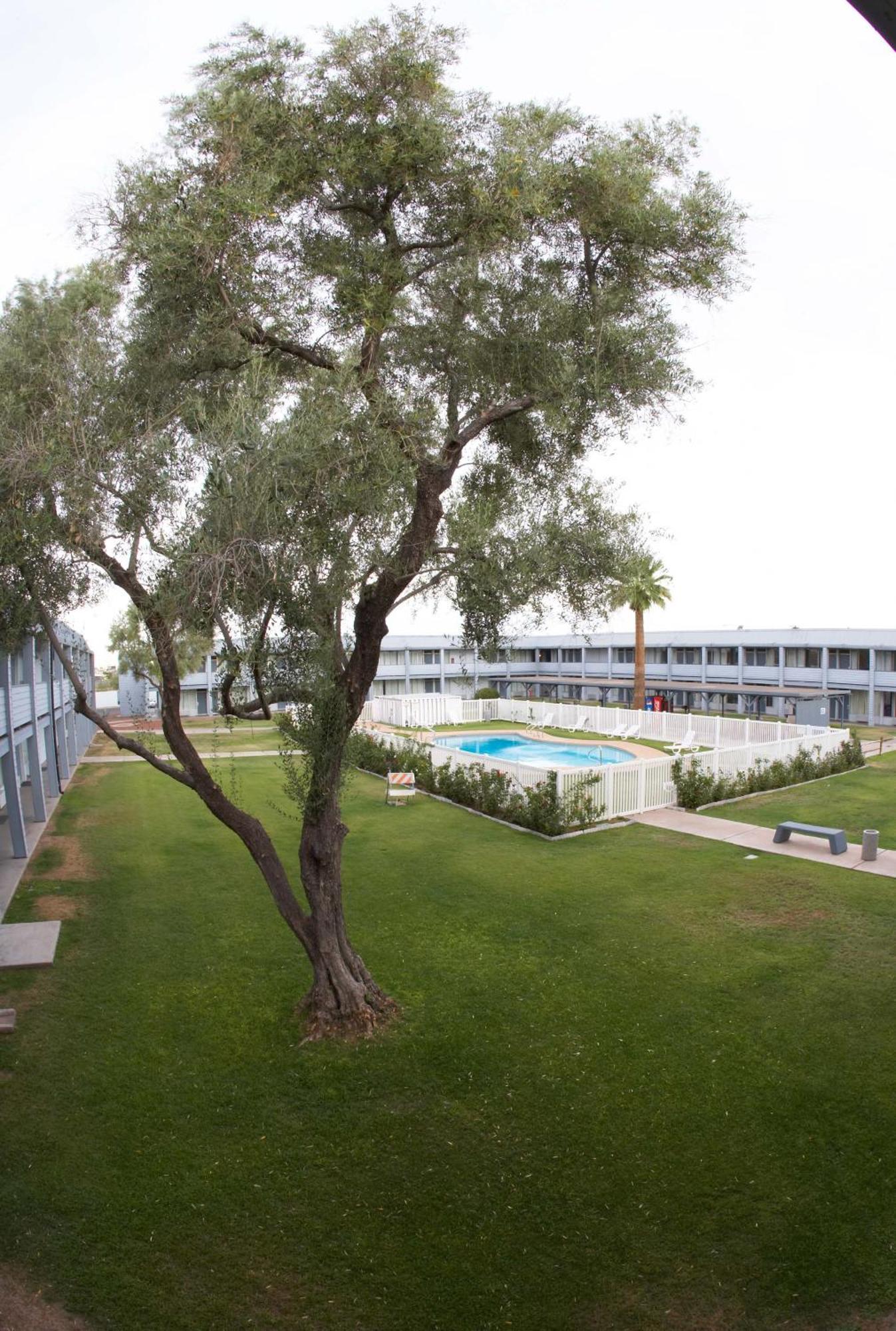 Ez 8 Motel Airporter Финикс Екстериор снимка